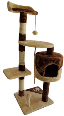 ΓΑΤΑ ΖΟΥΓΚΛΗΣ ΣΤΡΑΤΣ