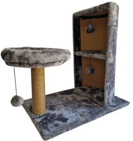 АНАТОМИЯ КОШАЧЬЕЙ ЦАПРЕЧКИ