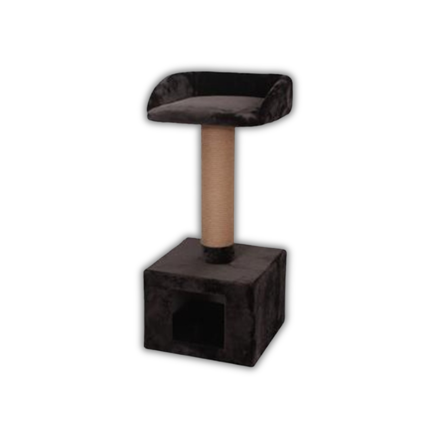 CAT SCRATCH GOLIATH 3