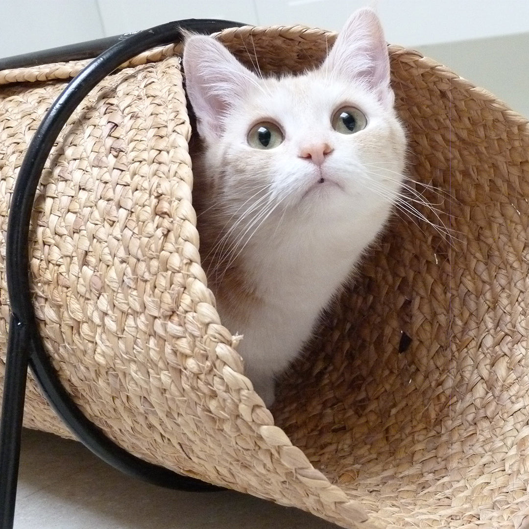 CAT PLAY TUNNEL REINA BEIGE