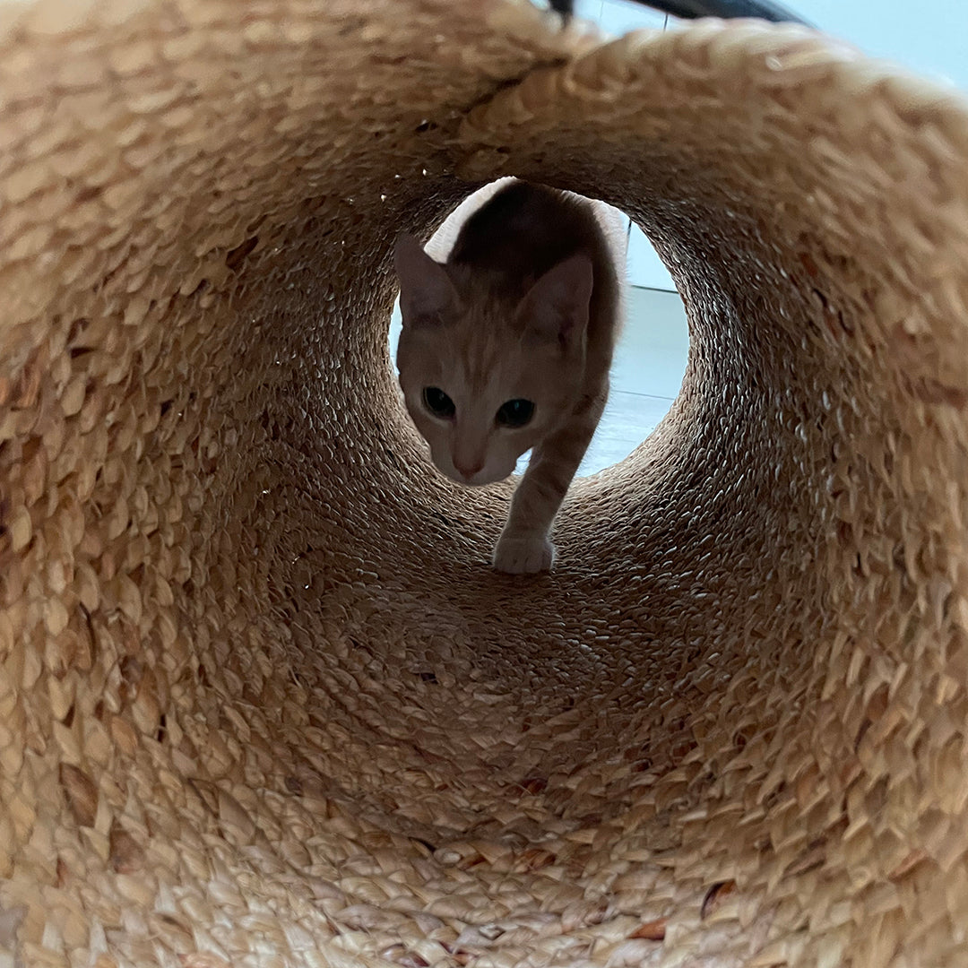 CAT PLAY TUNNEL REINA BEIGE