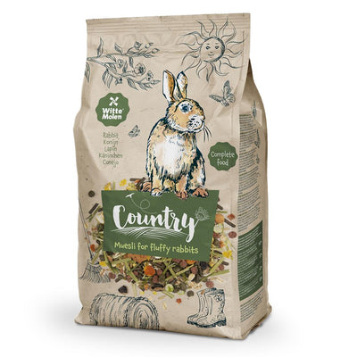 COUNTRY(DWARF) RABBIT