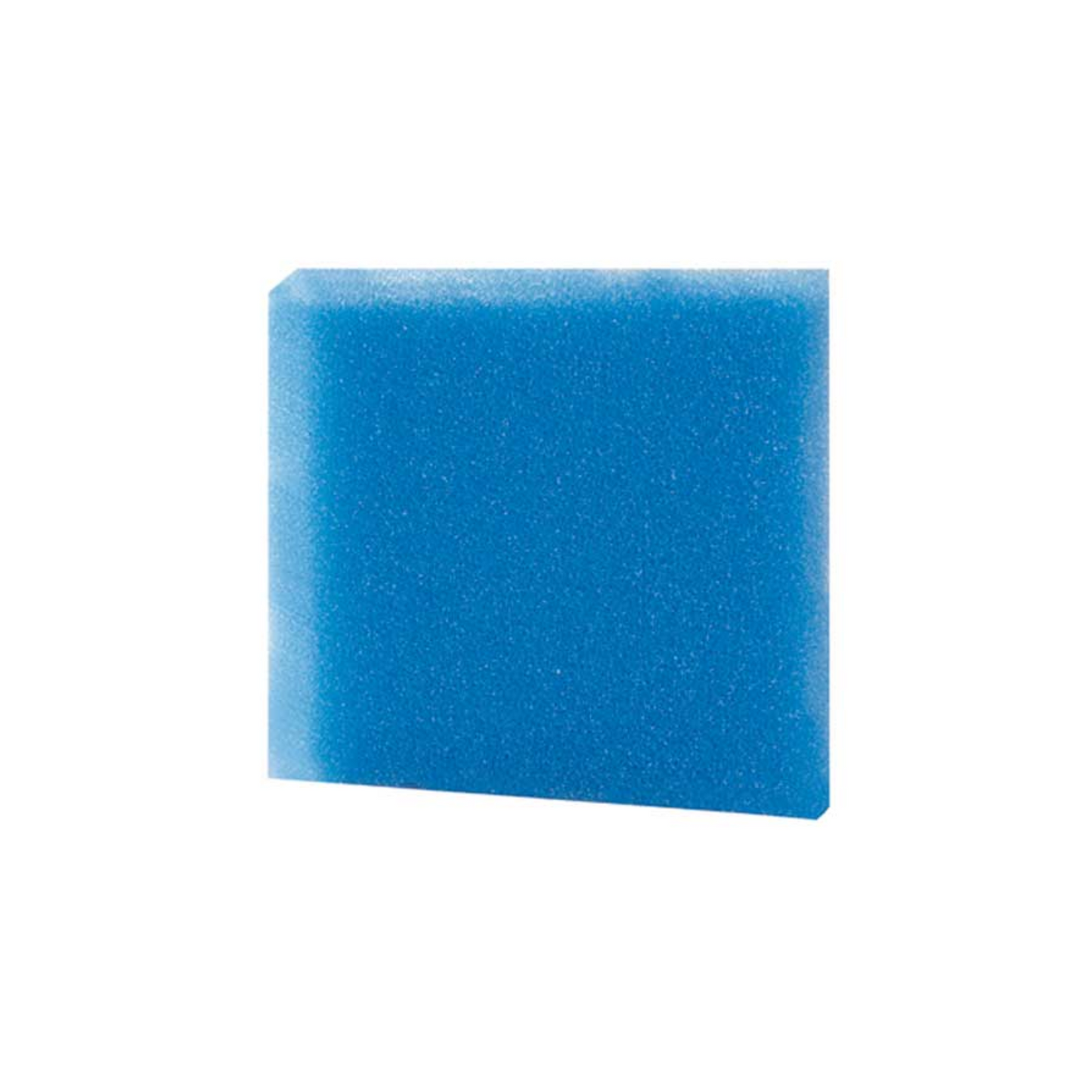 FINE FILTER SPONGE