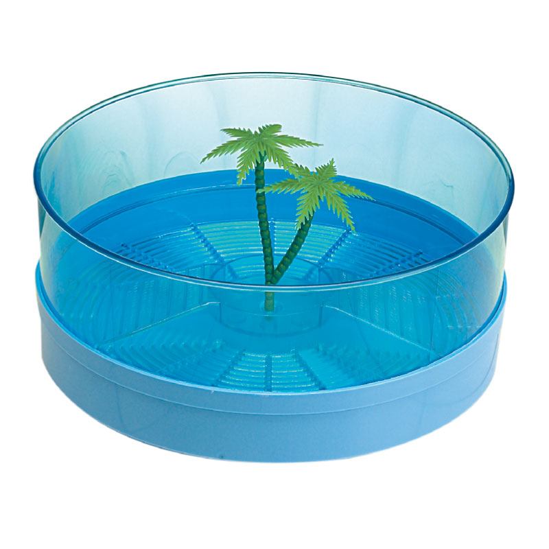 TURTLE BOWL