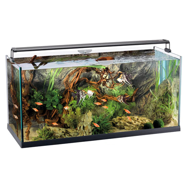 ELBA 110 – 8mm glass