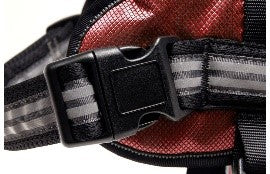 HARNESS ADVENTURE RED