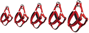 HARNESS STEP&GO JANNU RED