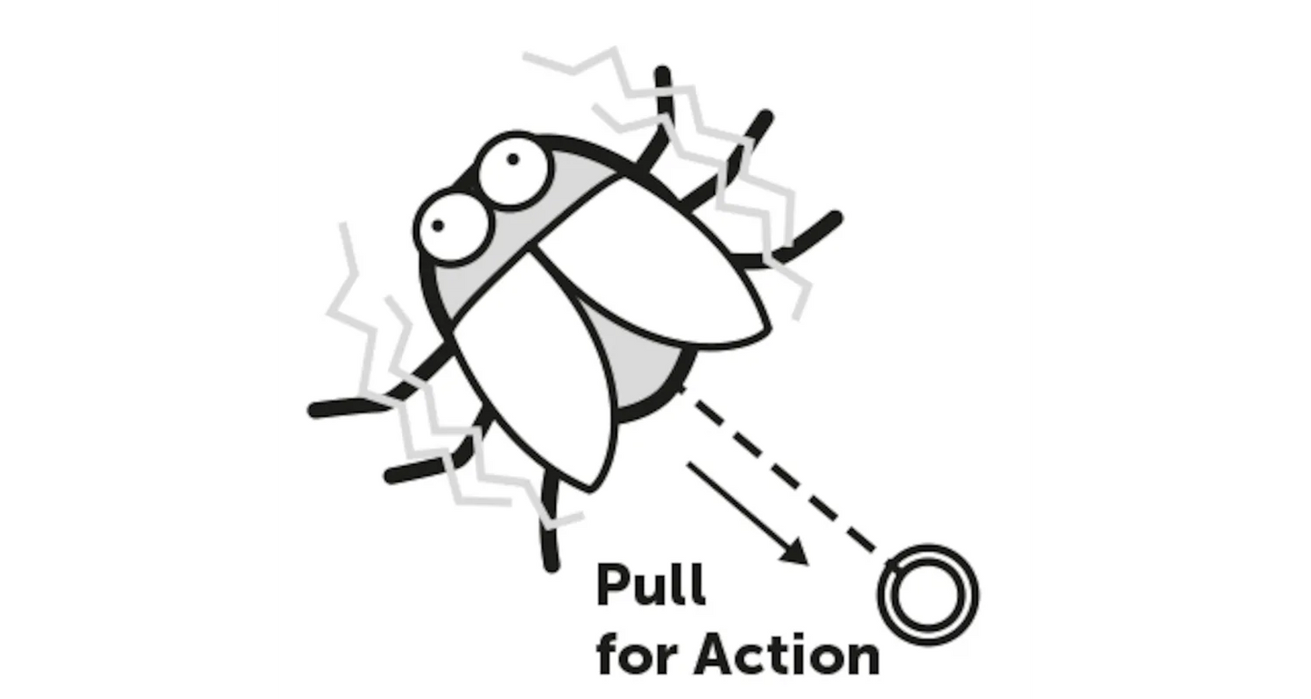 CAT TOY YOWLY BEETLE MULTI 13cm