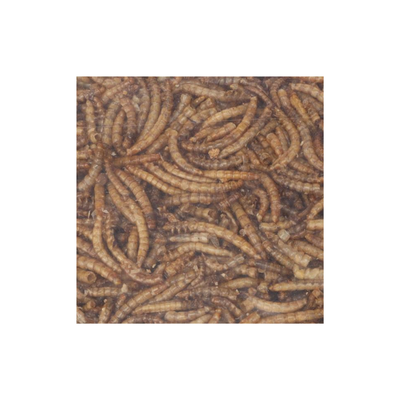 FOUR SEASONS MEALWORMS DRIED 300g