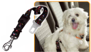 БЕЗОПАСНОСТЬ СОБАК