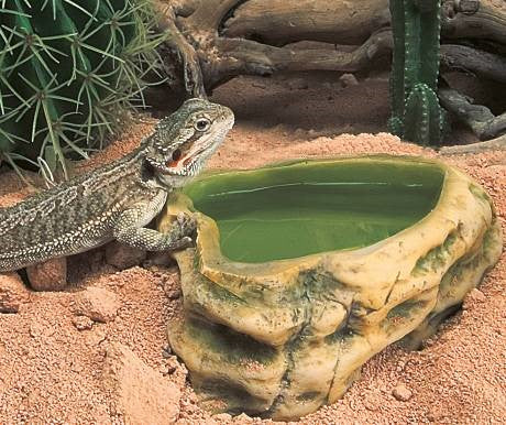 ЧАША ДЛЯ ВОДЫ 3