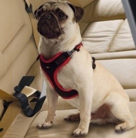 РЕМЕНЬ ДЛЯ ПУТЕШЕСТВИЯ ДЛЯ СОБАКИ ЧЕРНЫЙ