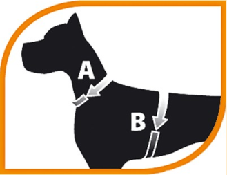 EASY P HARNESS