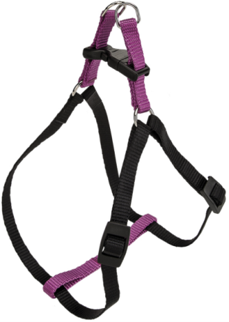 EASY P HARNESS