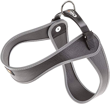 AGILA HARNESS BLACK