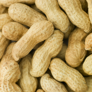 DN ΦΙΣΚΙΑ 1,6KG