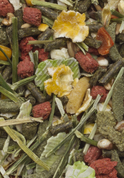 ДН МОРСКИЕ СВИНКИ