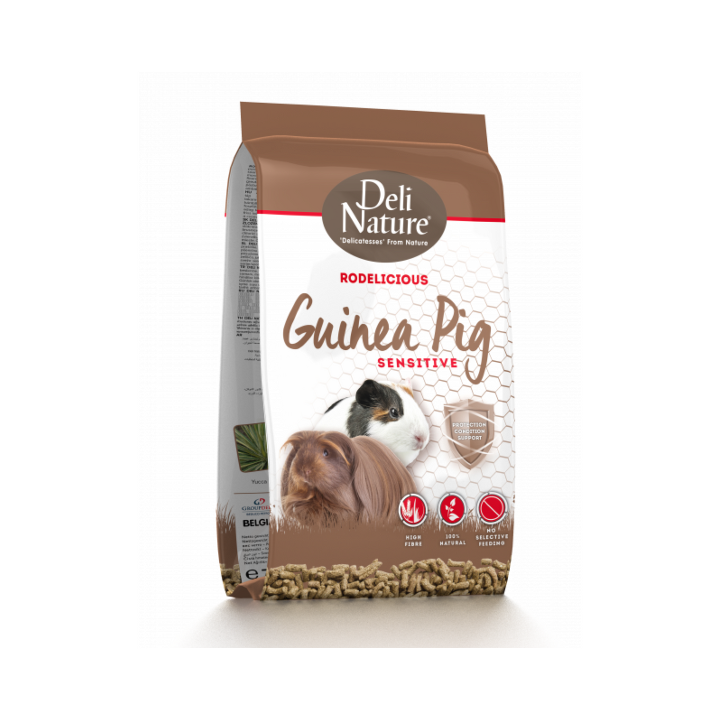 DN RODEL GUINEA-PIGS SENSITIVE