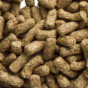 DN RODEL МОРСКИЕ СВИНКИ ЧУВСТВИТЕЛЬНЫЕ