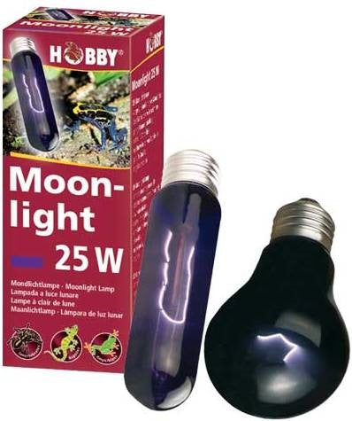 ΣΕΛΗΝΟΦΩΤΟ