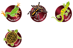 КОКОСОВЫЙ МОДУЛЬ