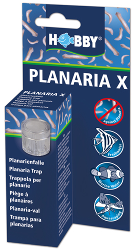 PLANARIA X