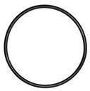 O RING FOR NANO SKIM