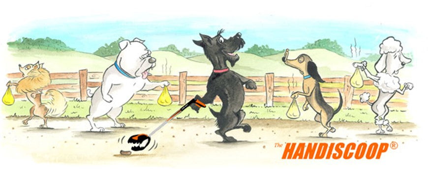 HANDISCOOP