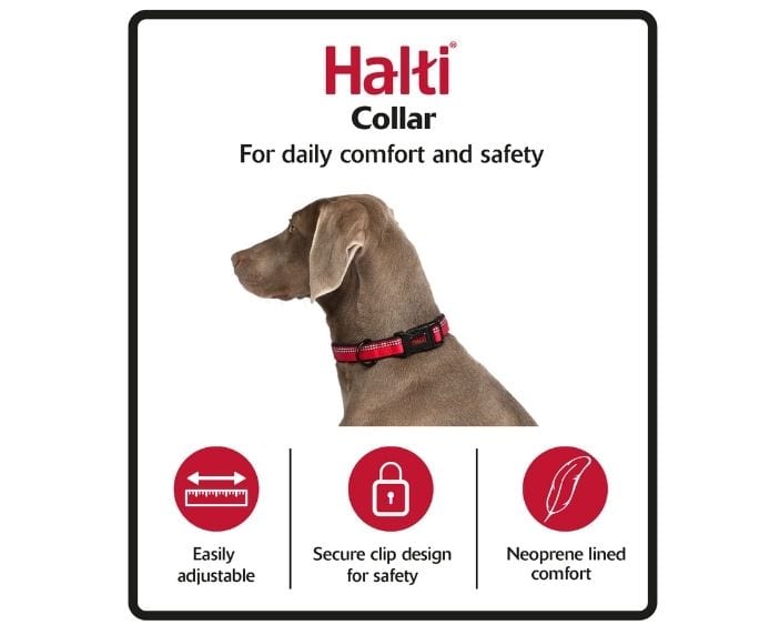 HALTI COLLAR SMALL