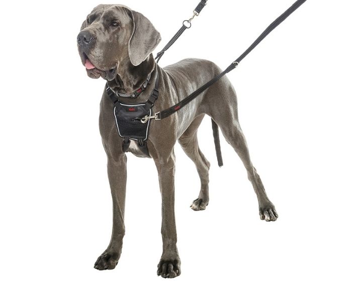 HALTI NO PULL HARNESS