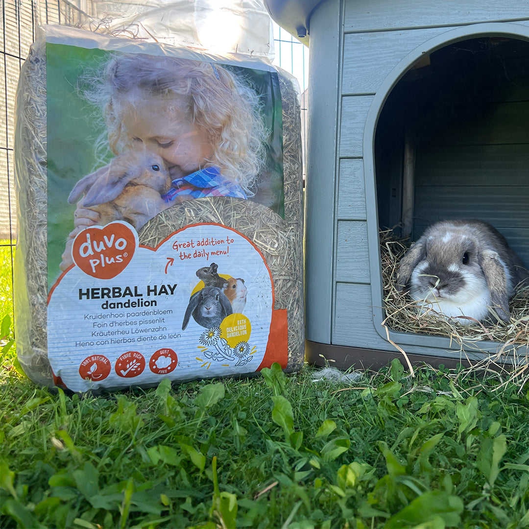 HERBAL HAY DANDELION 1KG