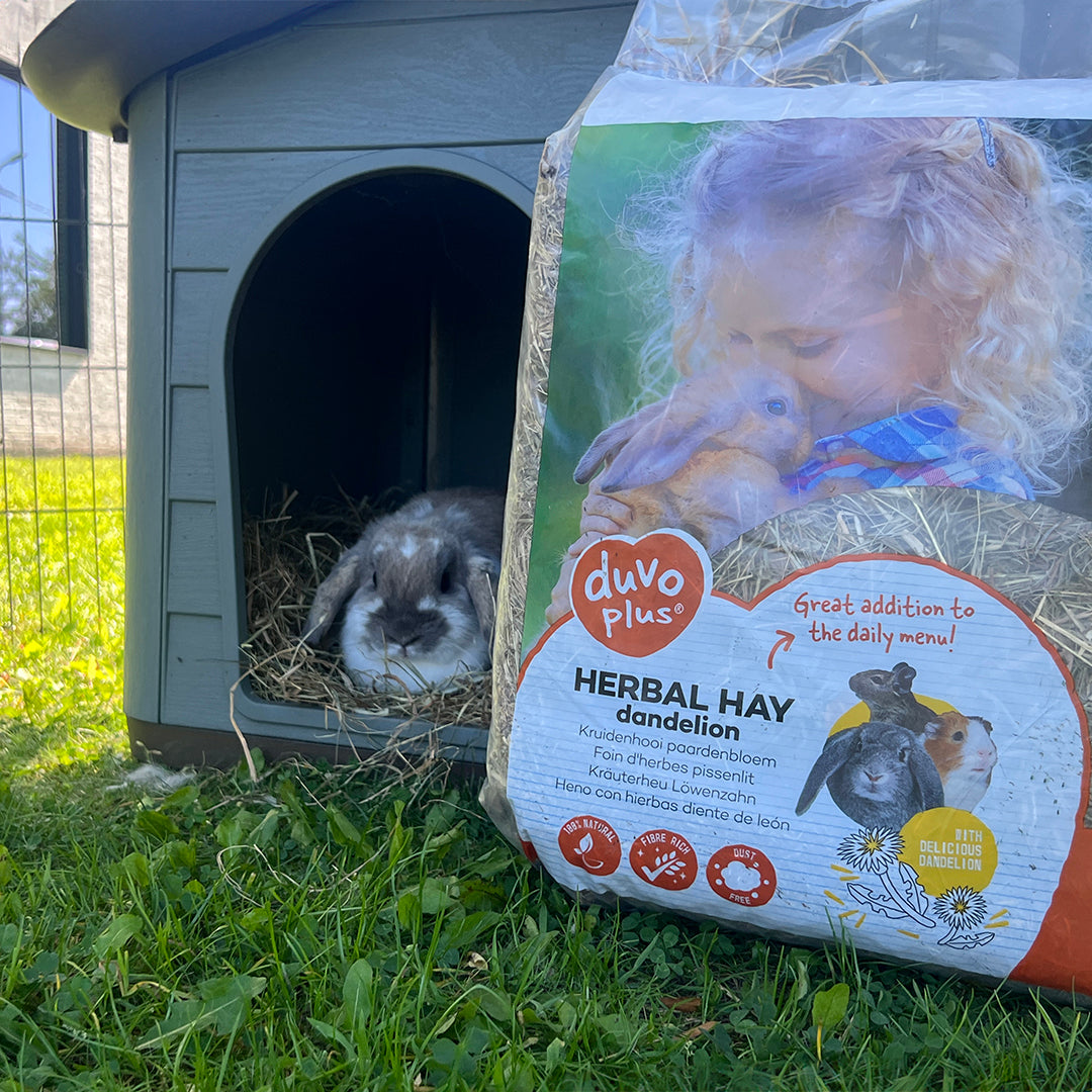 HERBAL HAY DANDELION 1KG