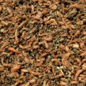 INSECTS PATE TOVO 500gr