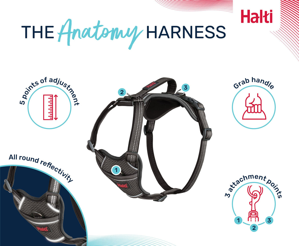 HALTI ANATOMY HARNESS GREY