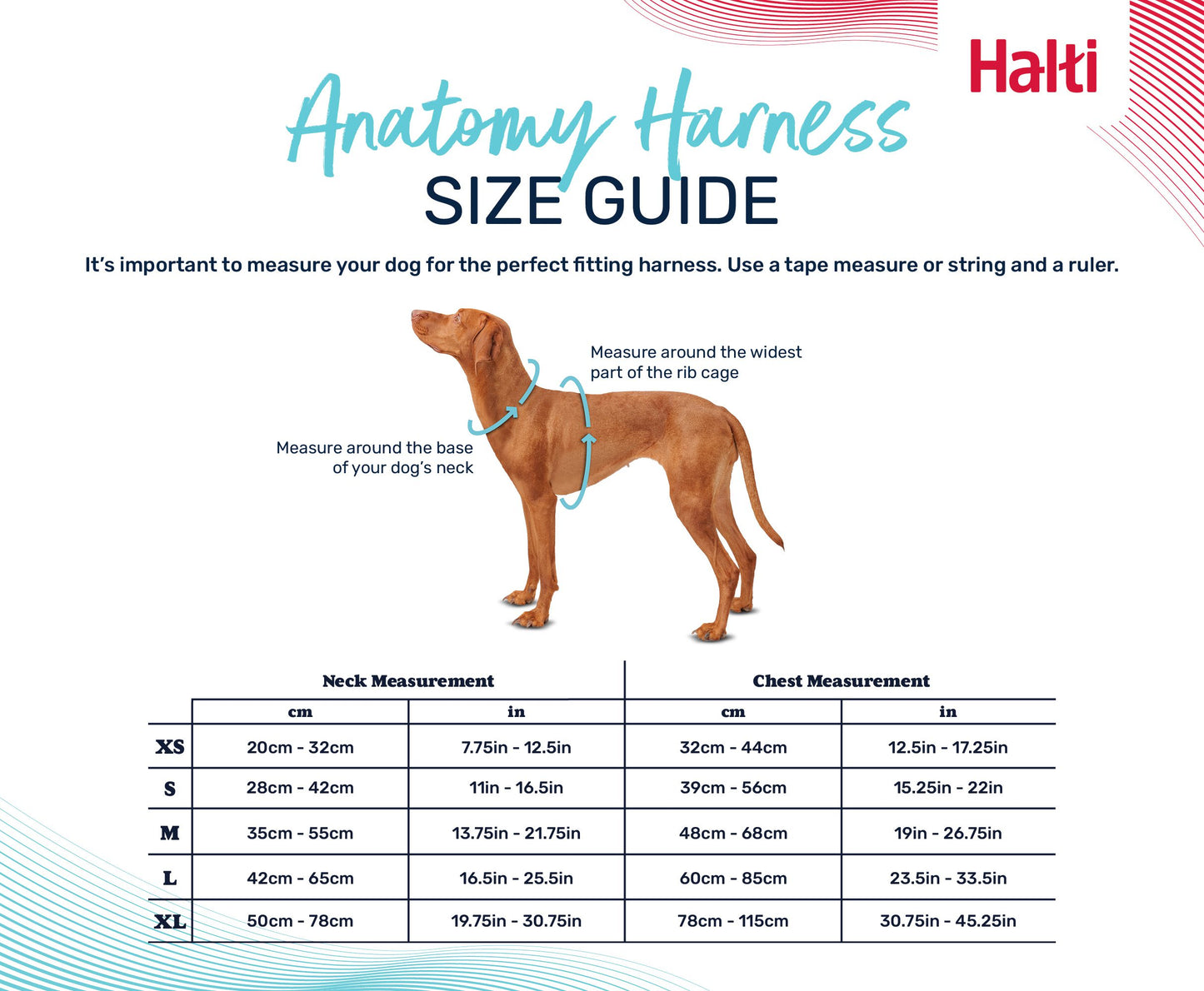 HALTI ANATOMY HARNESS GREEN