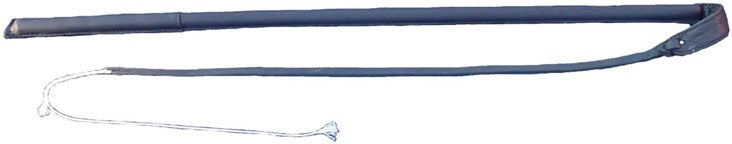Training whip