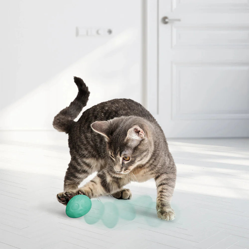 KONG INFUSED CATNIP EGG 2-PK