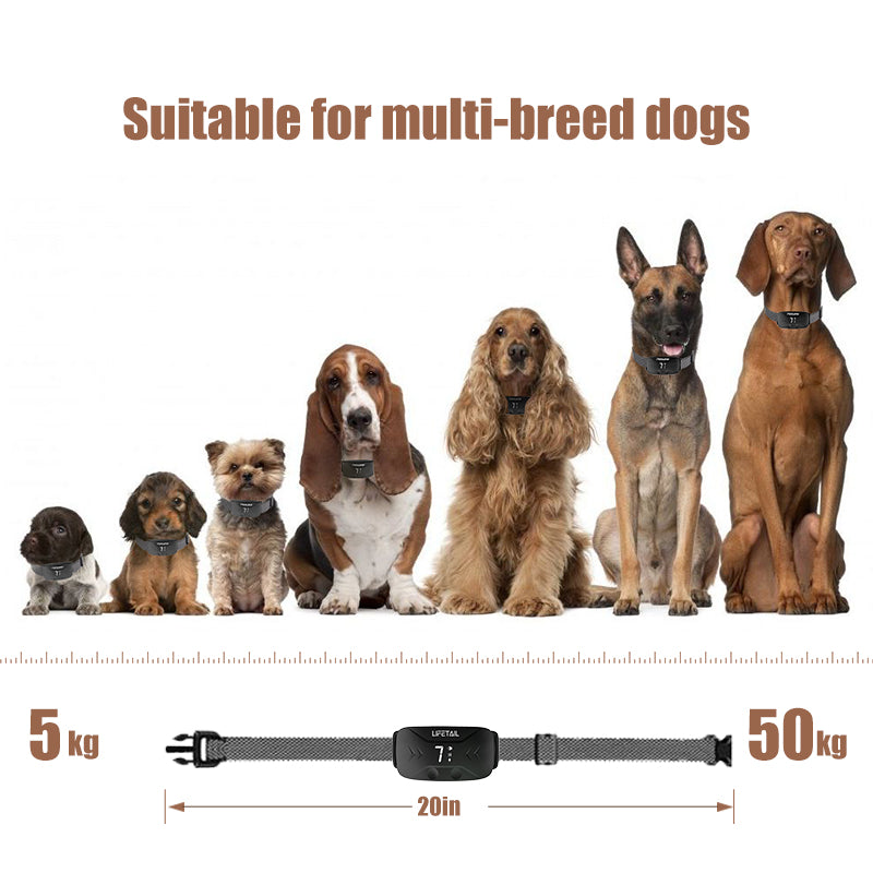 BARK STOPPER-VIBRATION VERSION