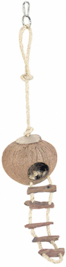 COCONUT GLOBEHOUSE WITH LADDER AND ROPE