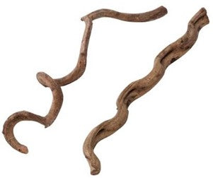 VINES