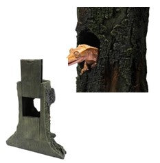 GECKO TREE MULTICOLOUR