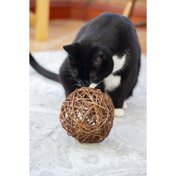 NATURALS FOR CAT WILLOW & XL CATNIP BALL