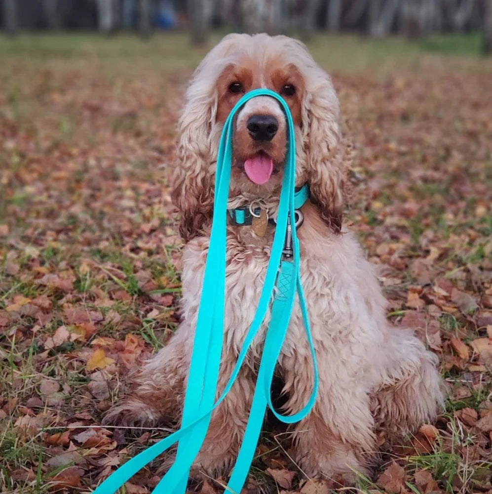 WAUDOG WATERPROOF DOG LEASH