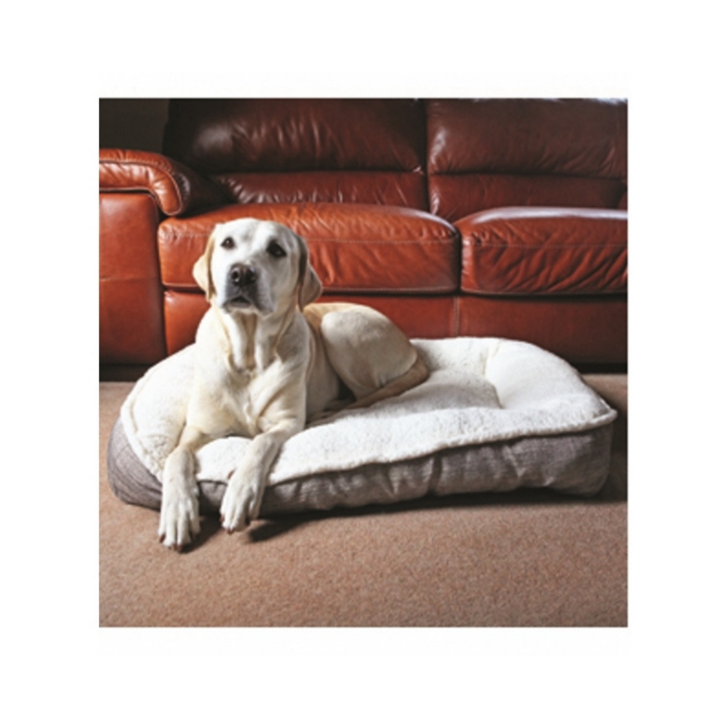 PLUSH/TWEED TEDDY BEAR MAT