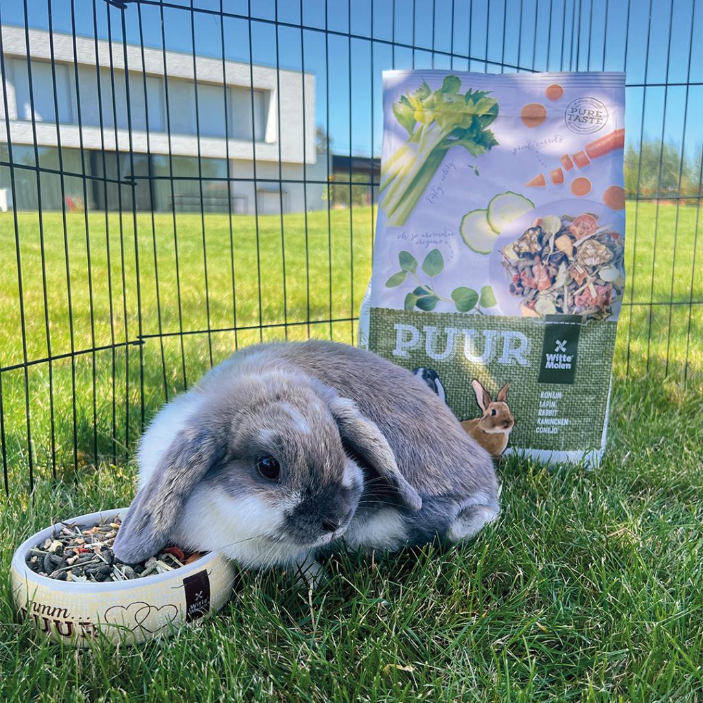 ПУУР КРОЛИК