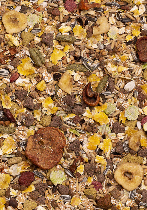 DN 5 КРЫСЫ+ФРУКТЫ