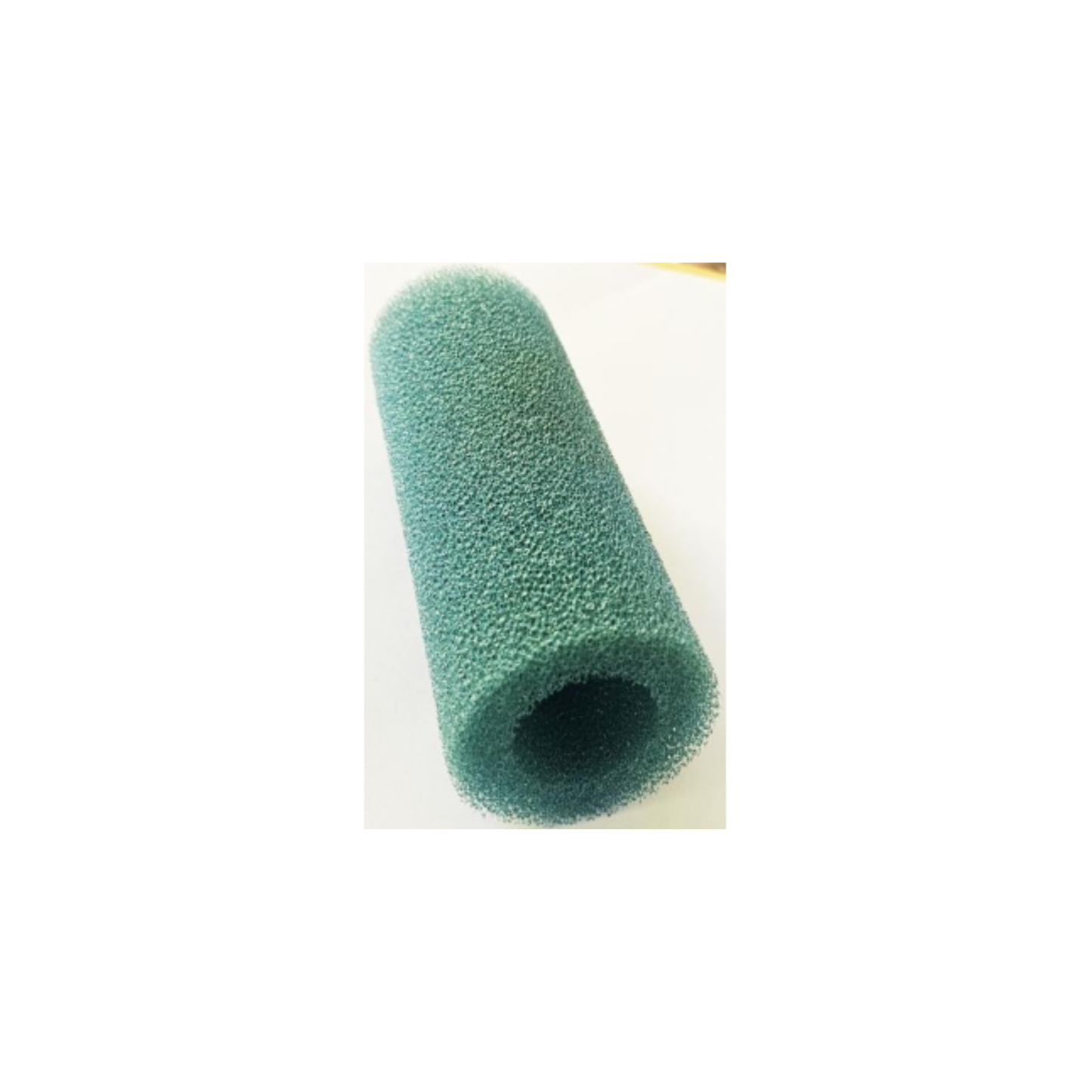RENA SPONGE