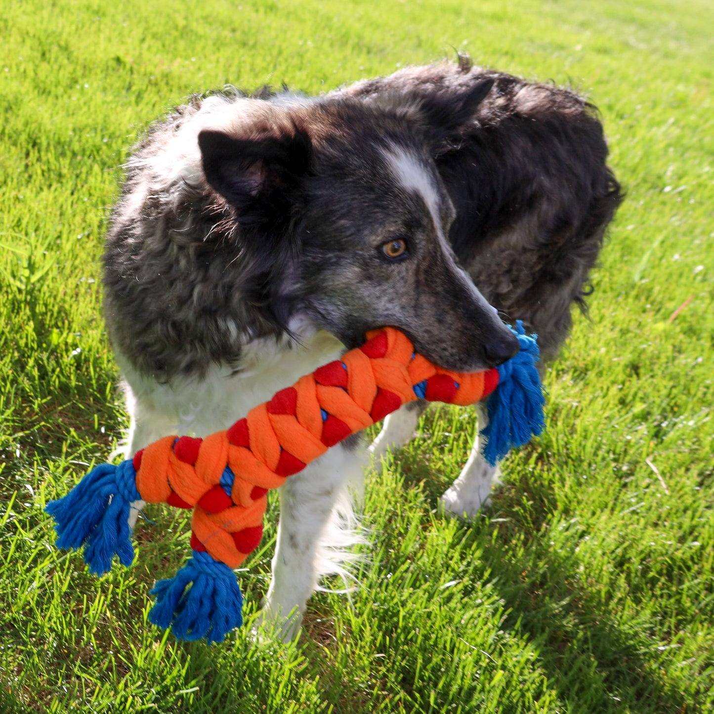 ROPE RALLY BONE