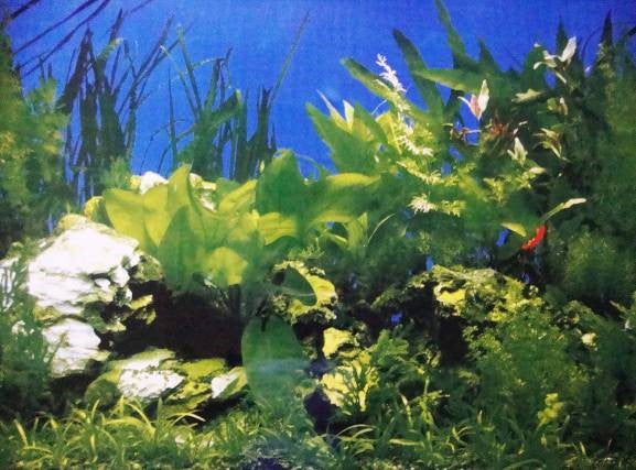 ДВУХСТОРОННИЙ АКВАРИУМ ФОН