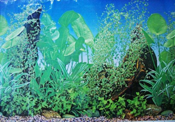 DOUBLE SIDED AQUARIUM BACKGROUND
